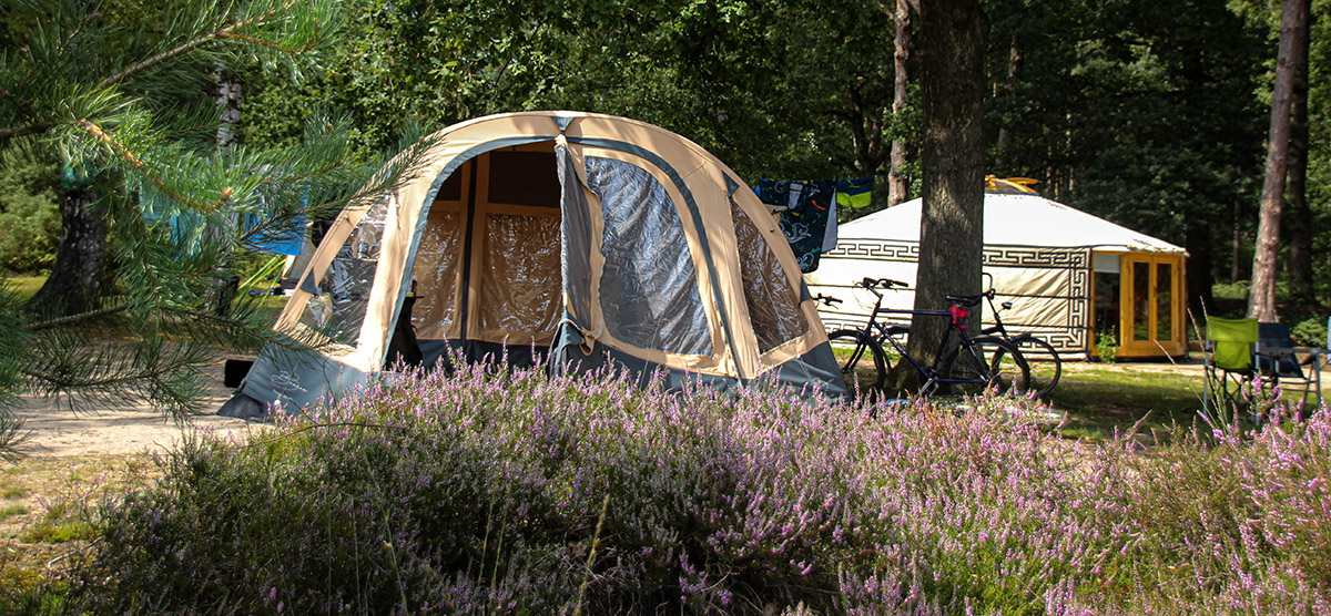 Kampeerplek Heideveld Landgoedcamping het Meuleman