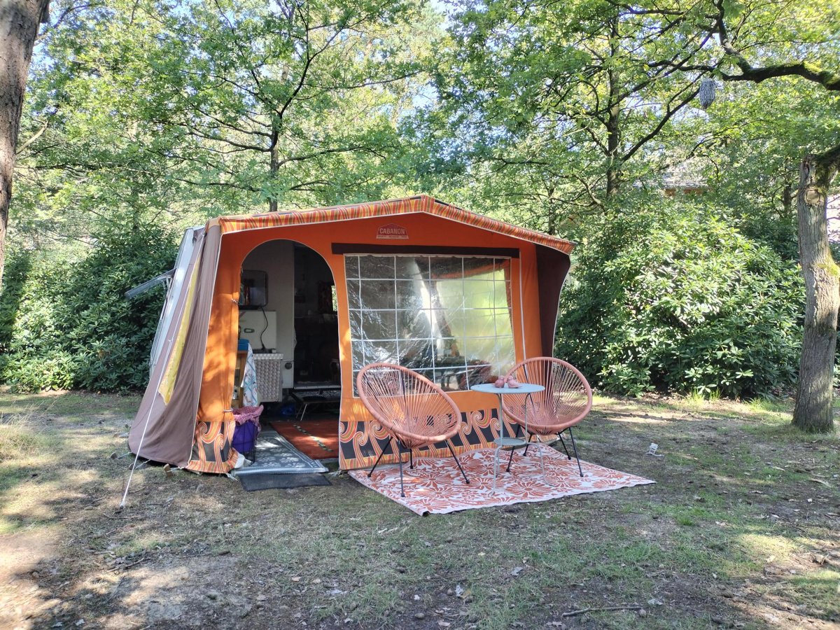 Retro-Faltwohnwagen auf Naturcampingplatz Het Meuleman