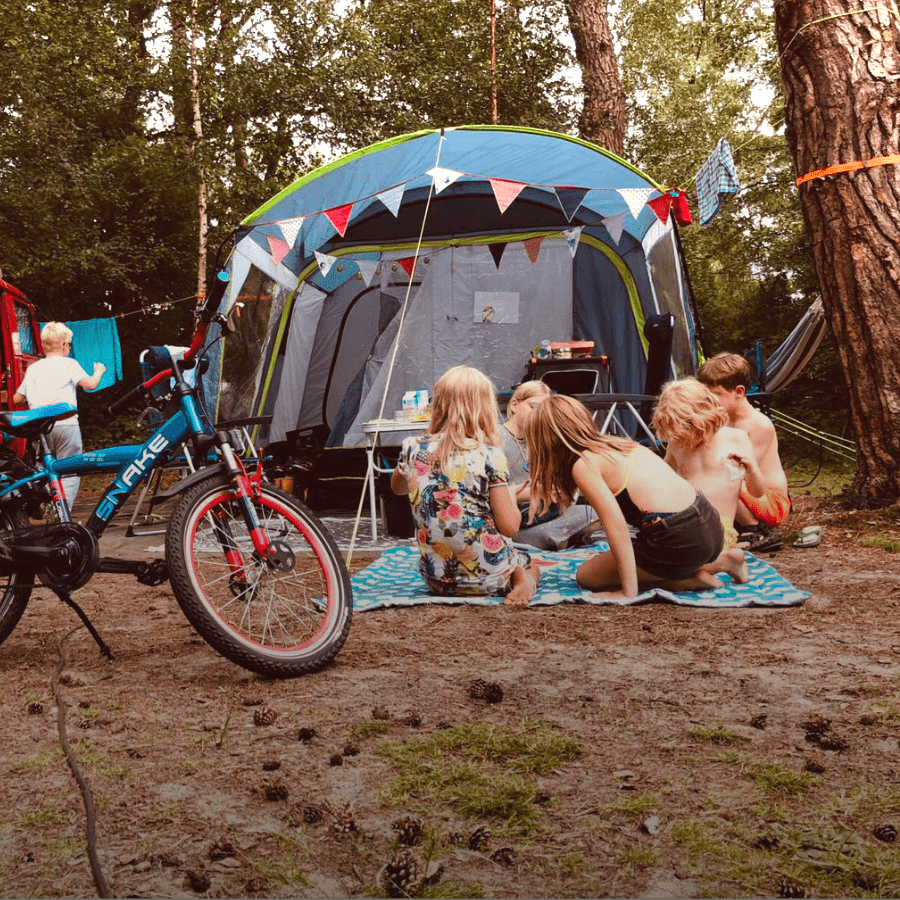 Kampeerplek Standaard Landgoedcamping het Meuleman